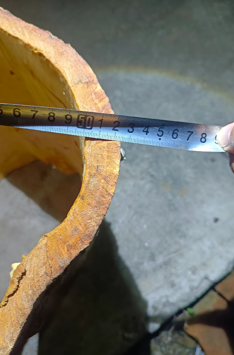 桂皮种植农户直供自然晒干品质好，实实在在做生意，欢迎合作
