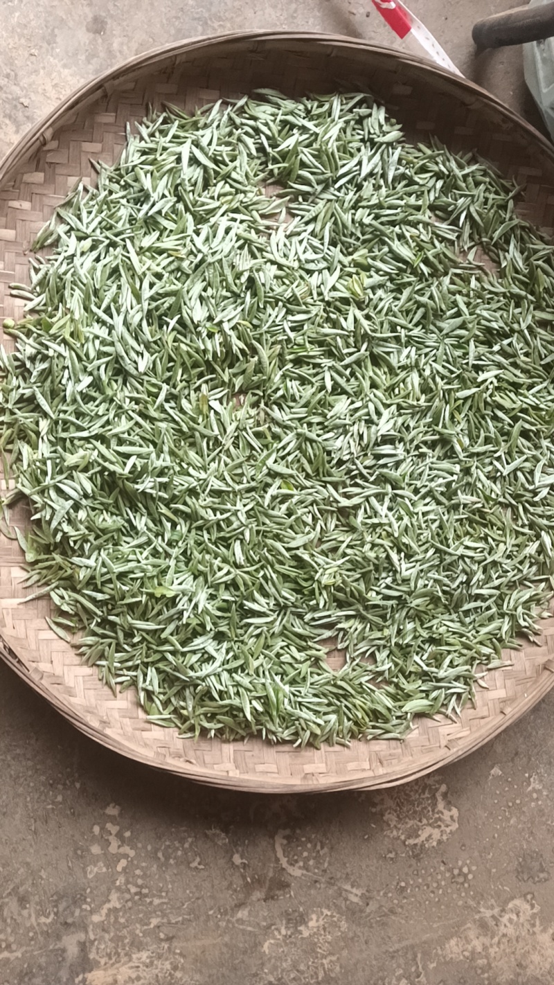 云南白茶**县