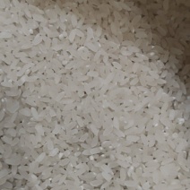 山泉冷水大米不漂洗不漂白不加任何防腐剂绿色大米
