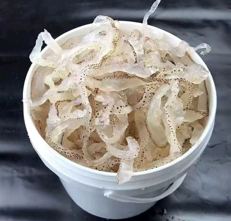 精品珊瑚海蜇丝原产地一手货源大量供应一件代发