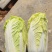 娃娃菜