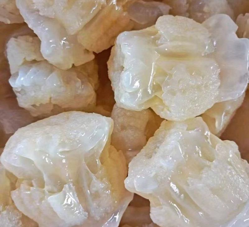 精品海蜇头墨西哥菊花头一点红八爪头特大印尼头