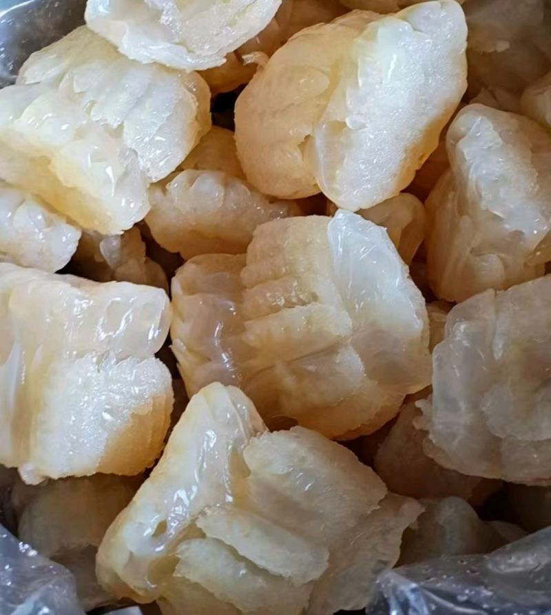 精品海蜇头墨西哥菊花头一点红八爪头特大印尼头