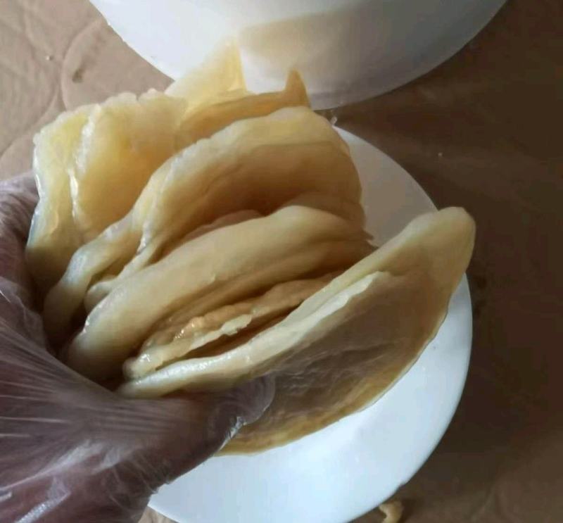 精品海蜇皮提干帽子皮提干波罗皮提干红蜇皮各种规格