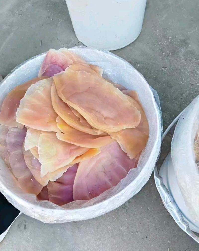 精品海蜇皮提干帽子皮提干波罗皮提干红蜇皮各种规格