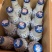 青岛发货青花瓷正品铝罐355ml*12瓶（美学酒）