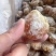 李饼地摊电商批发李饼干野枇杷果干蜜饯厂家批发干果