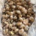 李饼地摊电商批发李饼干野枇杷果干蜜饯厂家批发干果