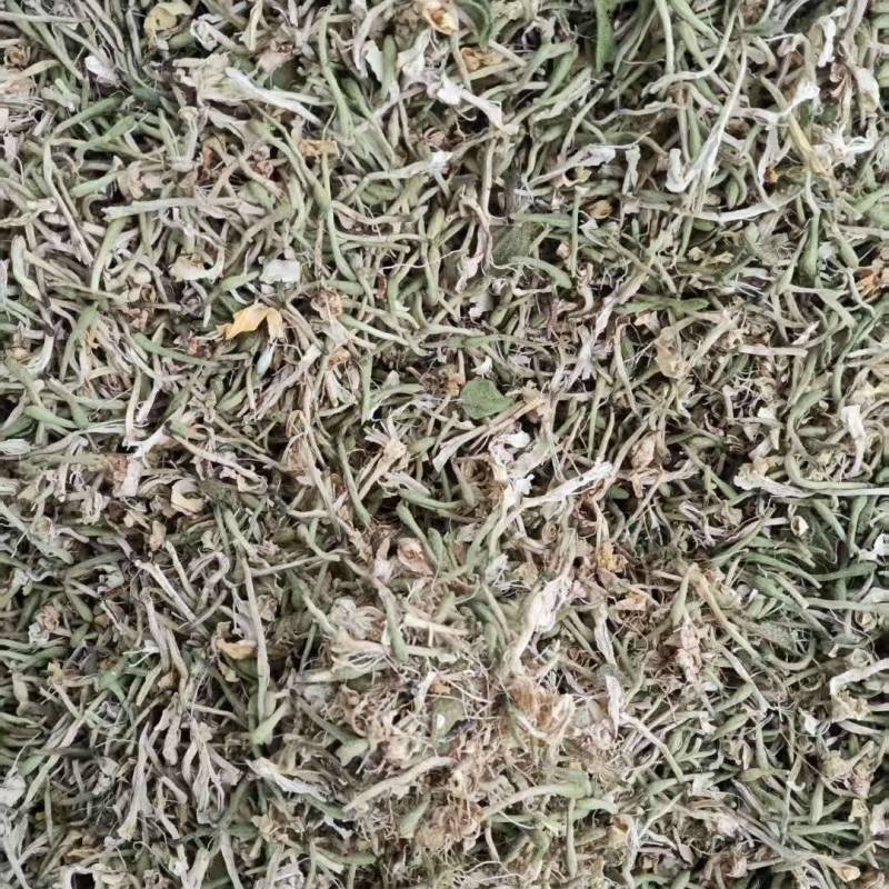 精品金银花产地一手货源全国发货量大价优欢迎随时联系
