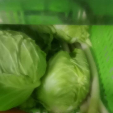 甘蓝和菜花