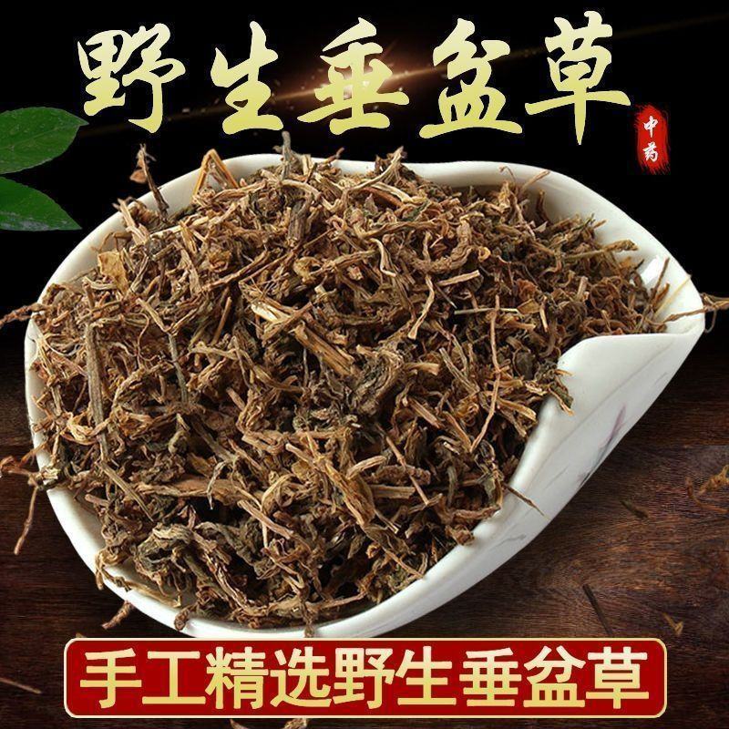 垂盆草中药材野生无硫无杂质正品切片垂盆草批发零售保质保量