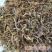 垂盆草中药材野生无硫无杂质正品切片垂盆草批发零售保质保量