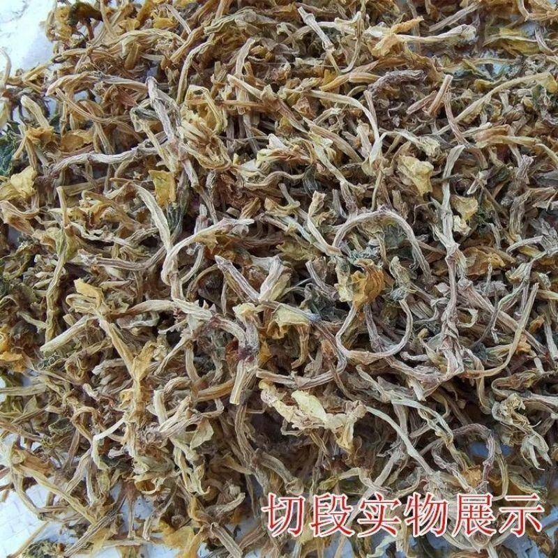 垂盆草中药材野生无硫无杂质正品切片垂盆草批发零售保质保量