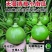 德丰无蔓青皮王南瓜种子早熟翠绿甜脆杂交小南瓜嫩南瓜种籽