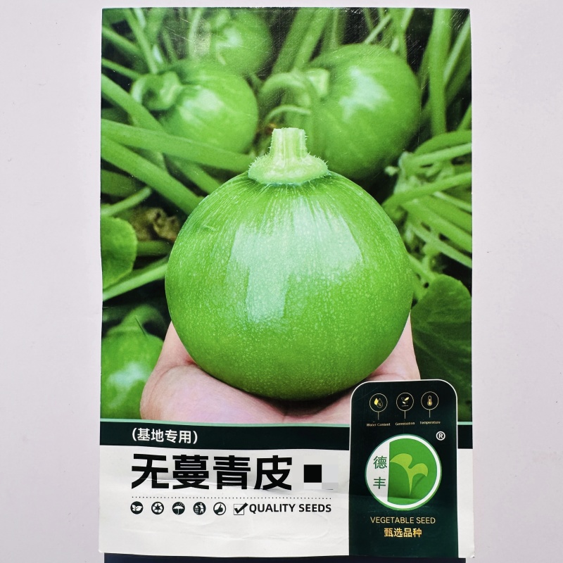 德丰无蔓青皮王南瓜种子早熟翠绿甜脆杂交小南瓜嫩南瓜种籽