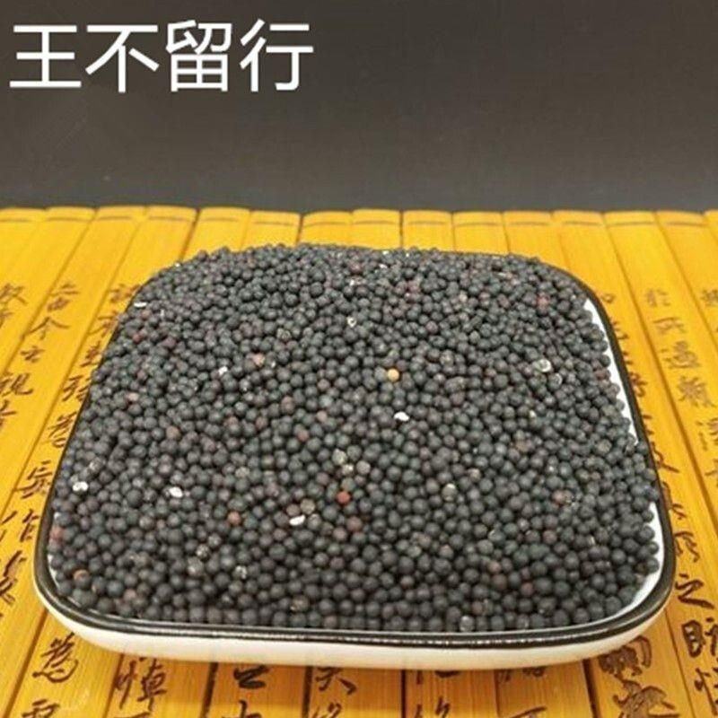 生王不留行炒王不留行王不留籽留行子正品中药材批发零售籽药