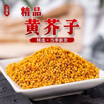 正品黄芥末籽黄芥末子芥子黄芥子籽药中药材批发零售保质保量