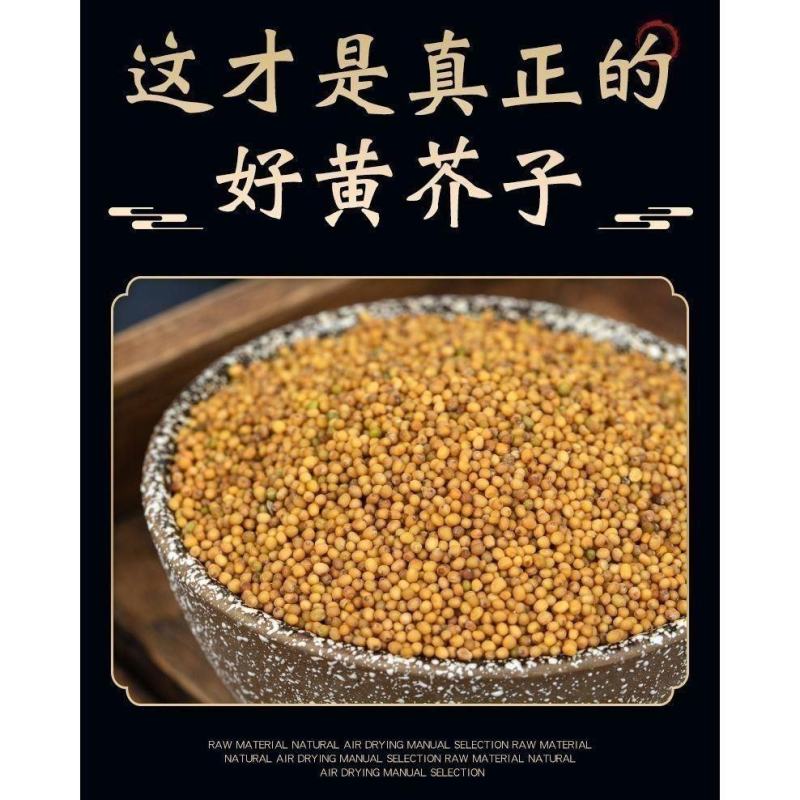 正品黄芥末籽黄芥末子芥子黄芥子籽药中药材批发零售保质保量