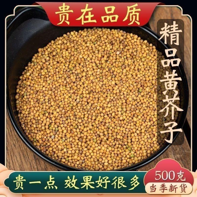 正品黄芥末籽黄芥末子芥子黄芥子籽药中药材批发零售保质保量