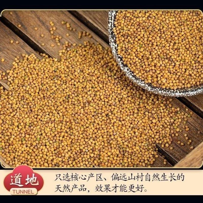 正品黄芥末籽黄芥末子芥子黄芥子籽药中药材批发零售保质保量