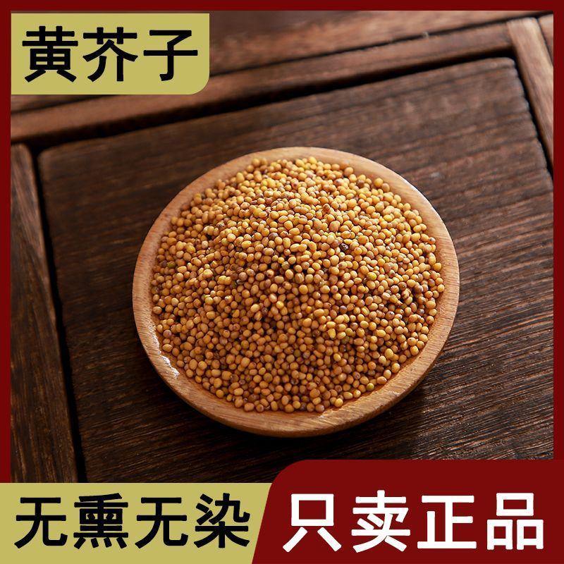 正品黄芥末籽黄芥末子芥子黄芥子籽药中药材批发零售保质保量