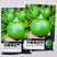 德丰无蔓青皮王无蔓南瓜种子早熟杂交翠绿葫芦青瓜基地优选家
