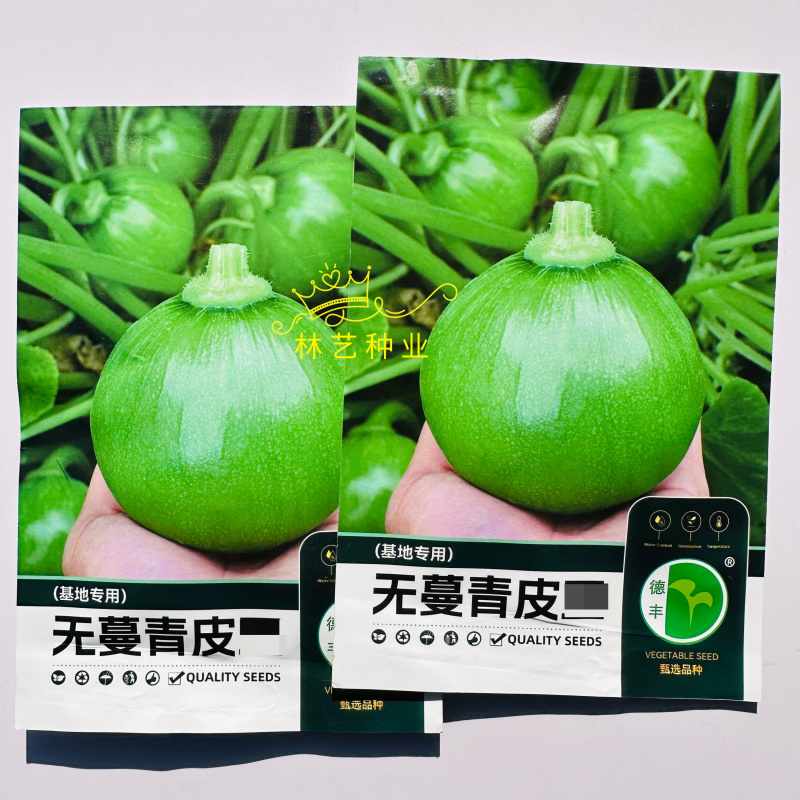 德丰无蔓青皮王无蔓南瓜种子早熟杂交翠绿葫芦青瓜基地优选家