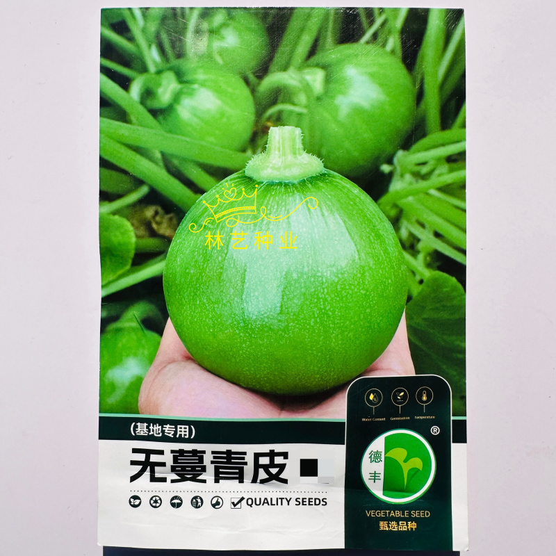 德丰无蔓青皮王无蔓南瓜种子早熟杂交翠绿葫芦青瓜基地优选家