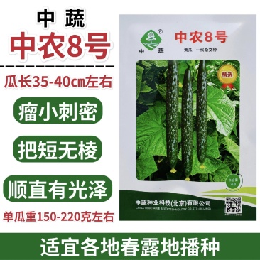 中蔬种业中农8号黄瓜种子春季栽培黄瓜种籽深绿把短瘤小刺密