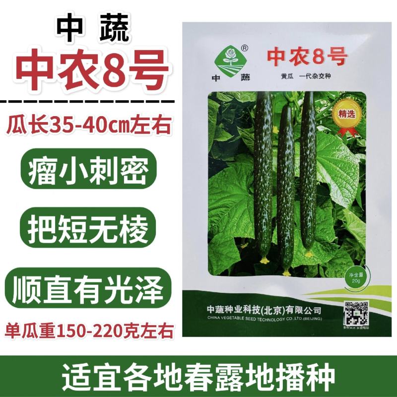中蔬种业中农8号黄瓜种子春季栽培黄瓜种籽深绿把短瘤小刺密
