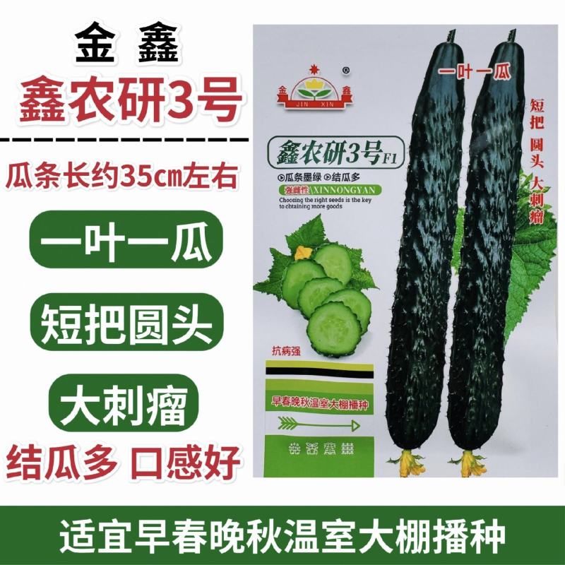 鑫农研3号黄瓜种子强雌型高产大刺瘤黄瓜种籽节节有瓜早熟