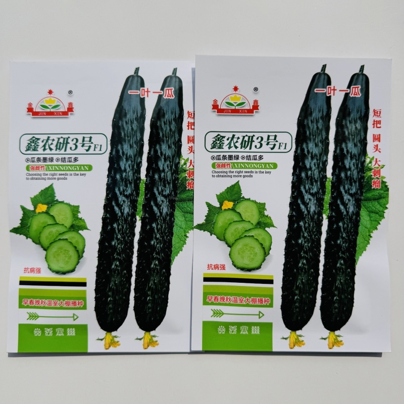 鑫农研3号黄瓜种子强雌型高产大刺瘤黄瓜种籽节节有瓜早熟