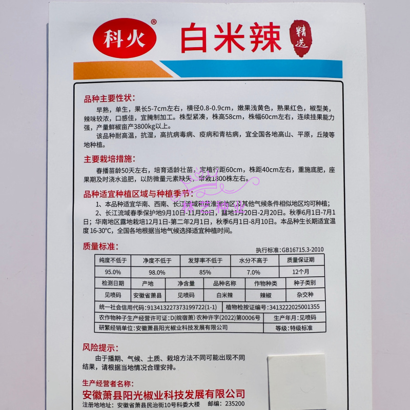 白米辣种子米黄色朝天椒种子特辣剁椒泡椒种子小米辣椒种籽