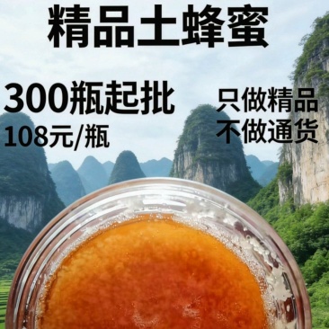 贵州喀斯特深山精品土蜂蜜500g瓶装只做精品不做通货