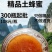 贵州喀斯特深山精品土蜂蜜500g瓶装只做精品不做通货