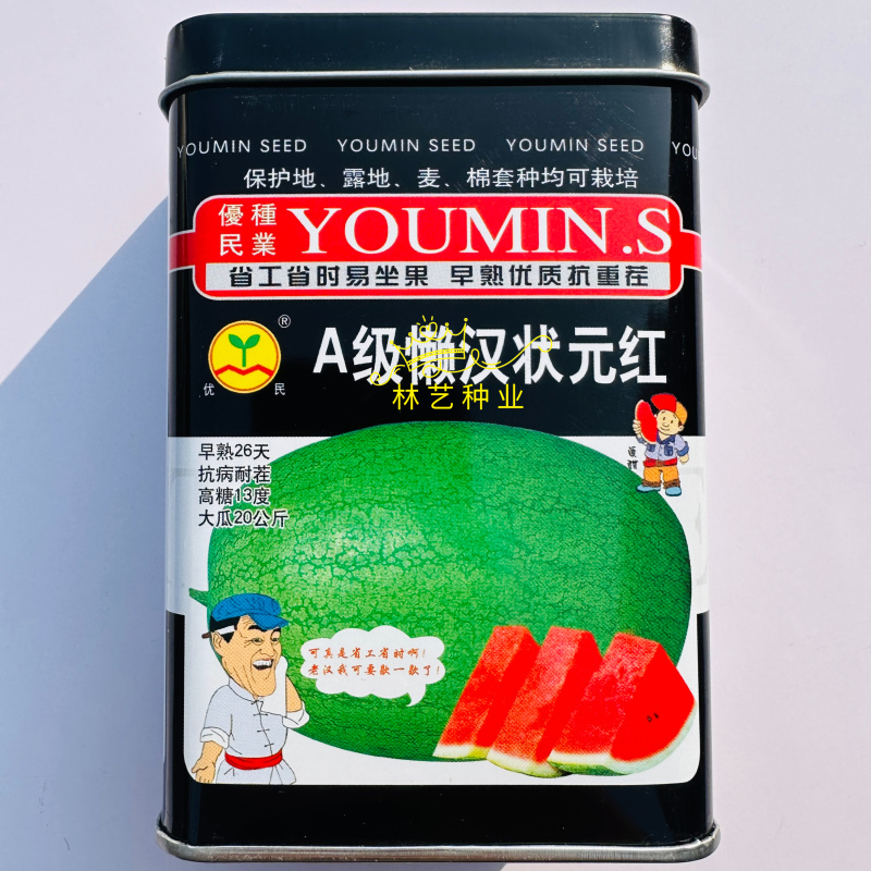 A级懒汉状元红西瓜种子高产抗病耐重茬大果懒汉西瓜种籽春夏