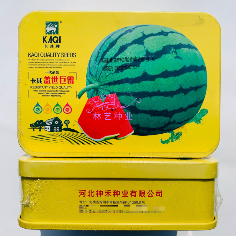 卡其盖世巨雷高产西瓜种子中熟易座果膨果快不空心不倒瓤不易