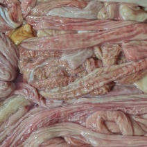 生牛小肠6元一斤