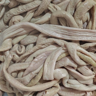 牛小肠