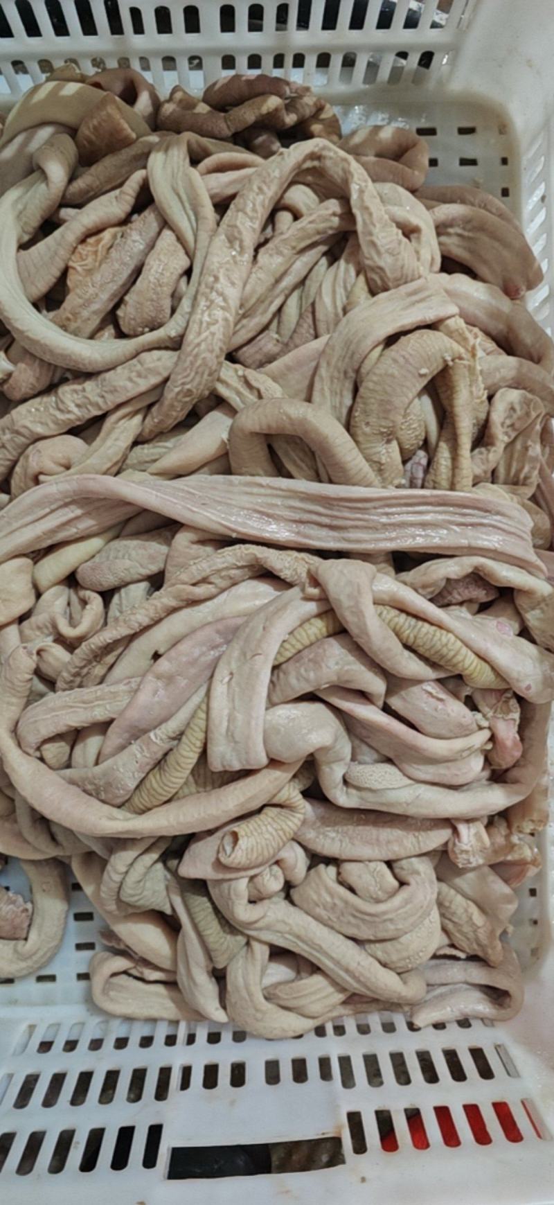 牛小肠