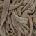 牛小肠