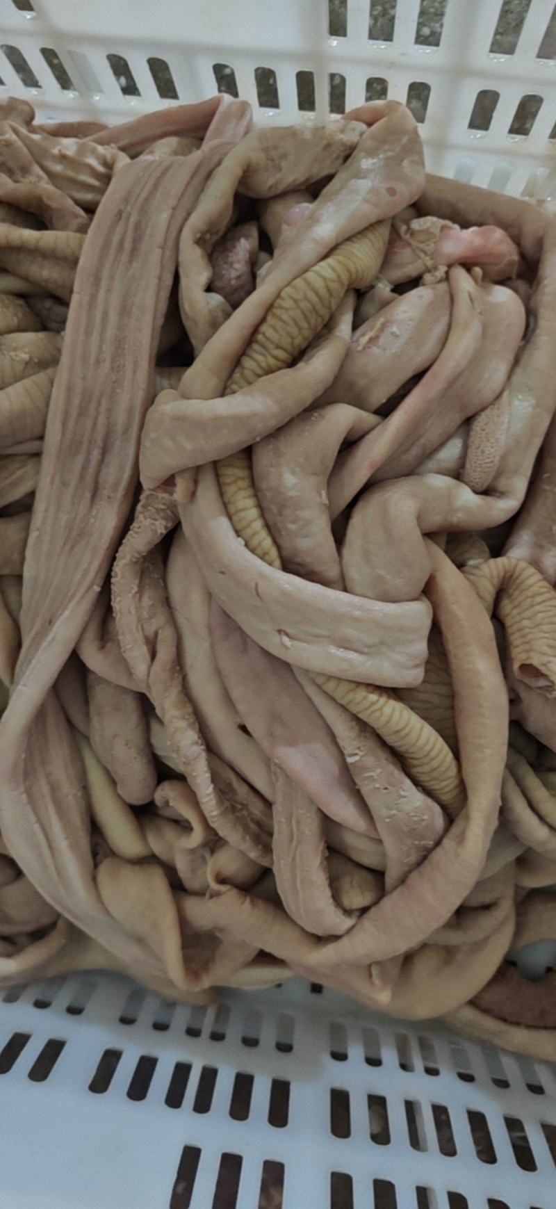 牛小肠