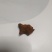 正宗天然牛黄