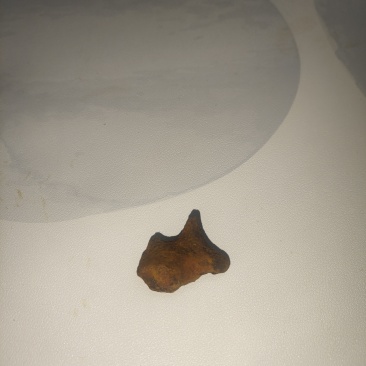 正宗天然牛黄