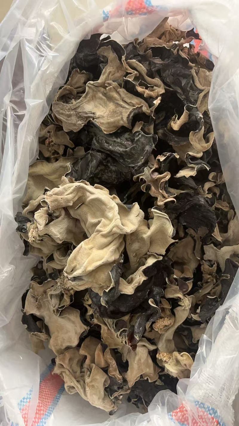 【推荐】头茬毛木耳手选水洗木耳毛木耳产地