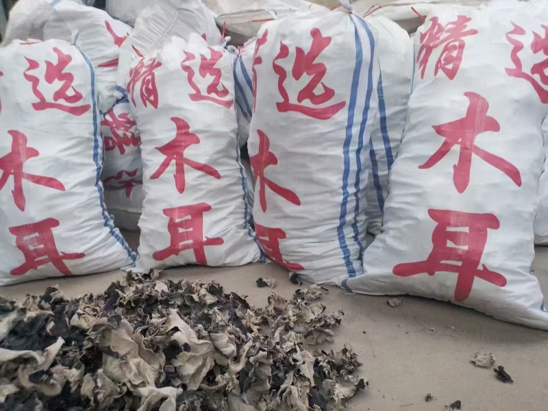 【推荐】头茬毛木耳手选水洗木耳毛木耳产地
