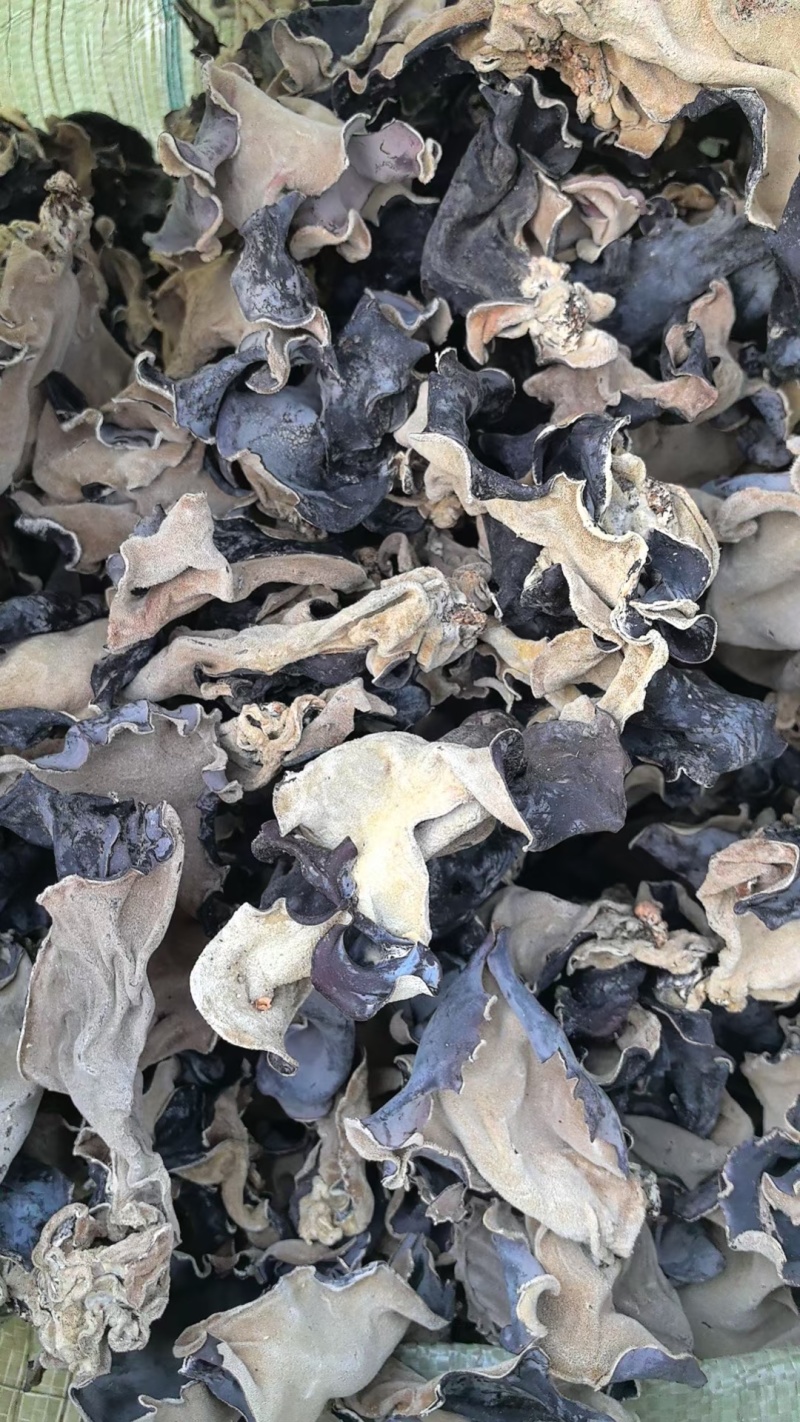 【推荐】头茬毛木耳手选水洗木耳毛木耳产地
