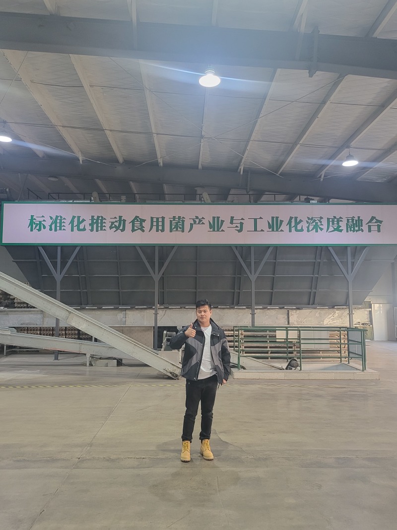 【推荐】头茬毛木耳手选水洗木耳毛木耳产地