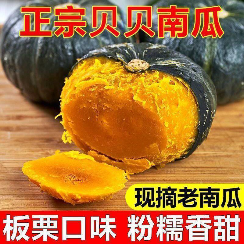 【贝贝南瓜】山东潍坊贝贝南瓜/沙地爆粉南瓜/小南瓜
