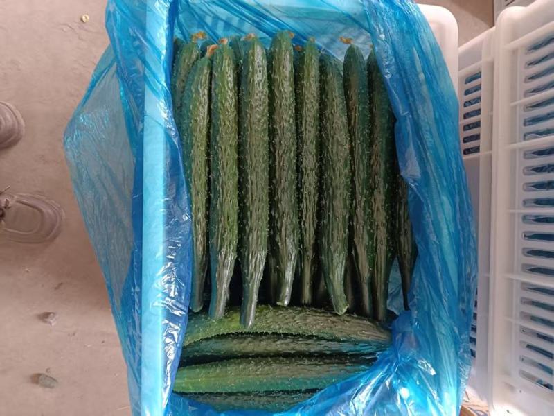 精品黄瓜